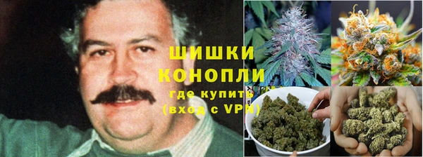 мдпв Балабаново