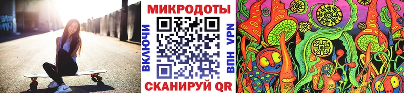 Галлюциногенные грибы Psilocybe Яблоновский